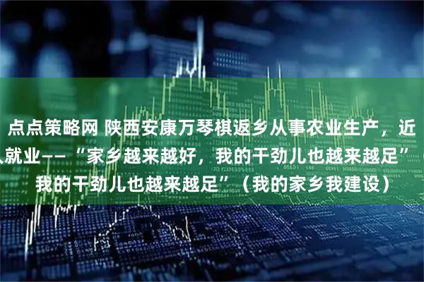 点点策略网 陕西安康万琴棋返乡从事农业生产，近20年带动400余人就业—— “家乡越来越好，我的干劲儿也越来越足”（我的家乡我建设）