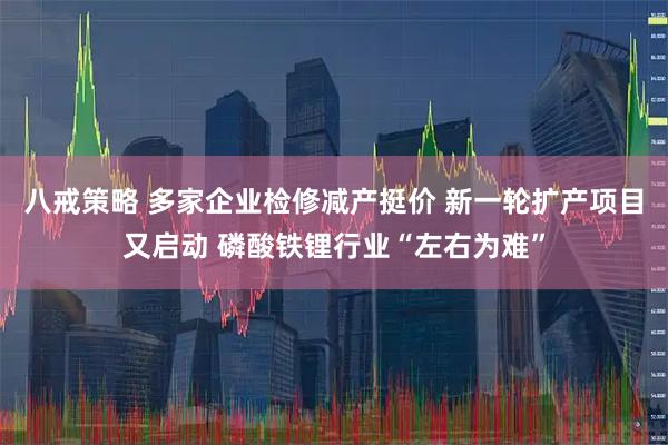 八戒策略 多家企业检修减产挺价 新一轮扩产项目又启动 磷酸铁锂行业“左右为难”