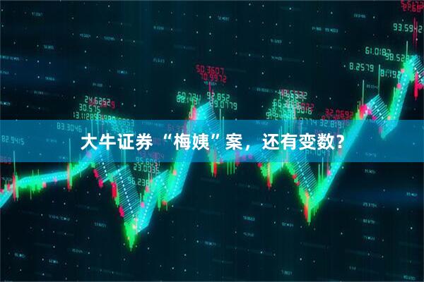 大牛证券 “梅姨”案，还有变数？